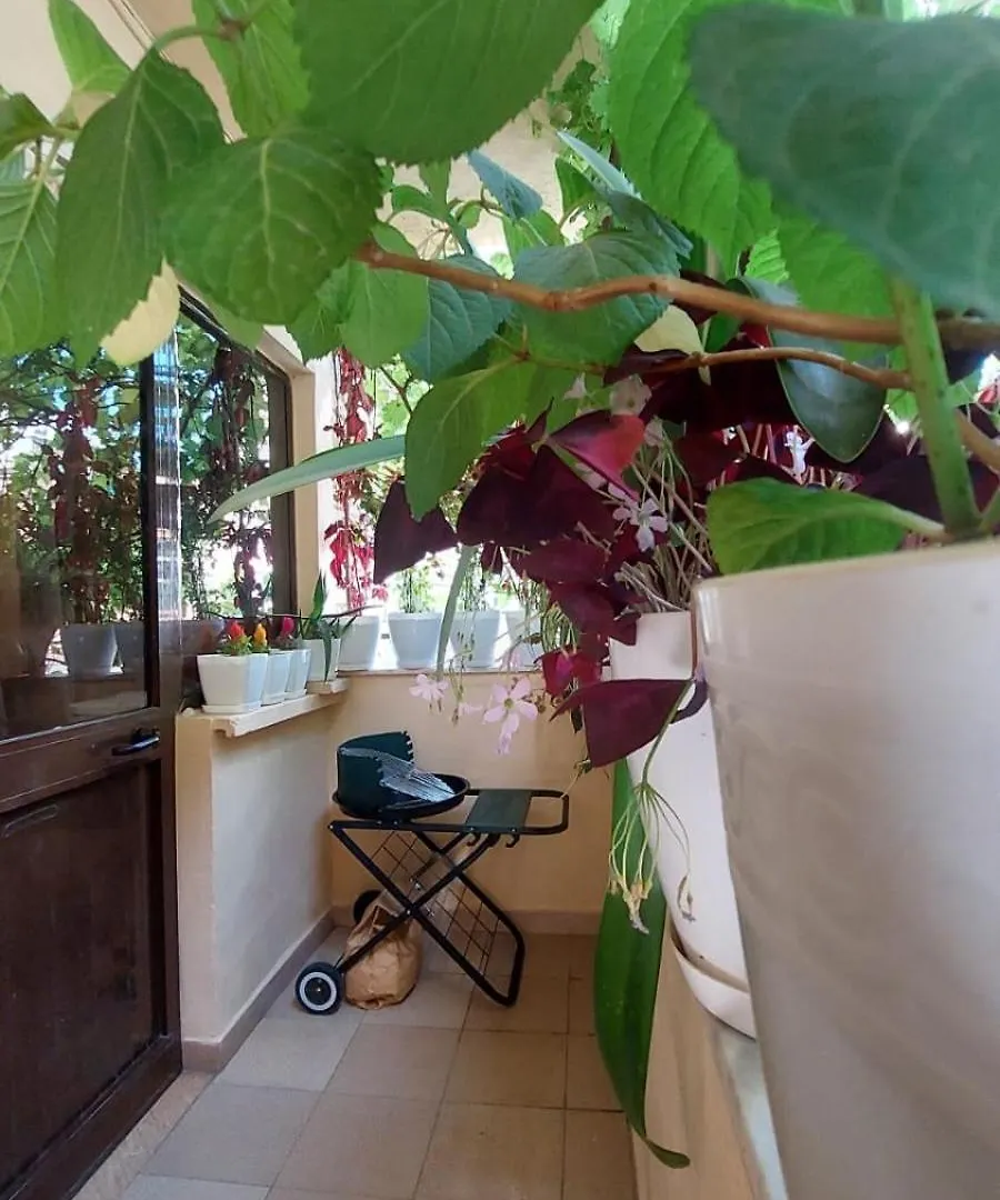 Homestay szállás Tirana Hospitality Edas Place