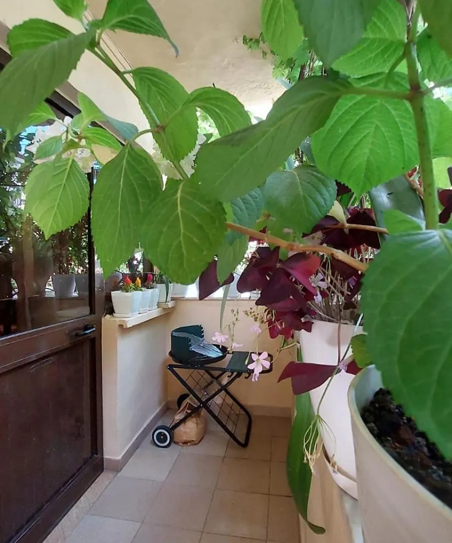 Tirana Hospitality Edas Place Homestay szállás