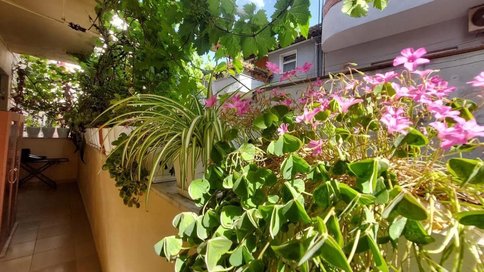 Tirana Hospitality Edas Place 0*,